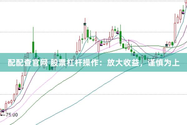 配配查官网 股票杠杆操作：放大收益，谨慎为上