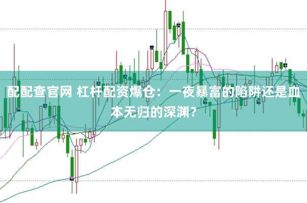 配配查官网 杠杆配资爆仓：一夜暴富的陷阱还是血本无归的深渊？