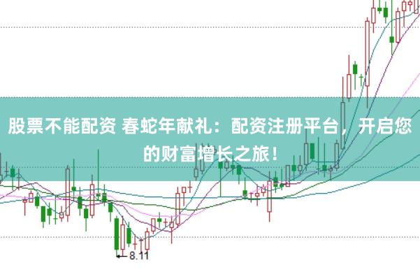 股票不能配资 春蛇年献礼：配资注册平台，开启您的财富增长之旅！