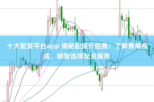 十大配资平台app 揭秘配资介绍费：了解费用构成，明智选择配资服务
