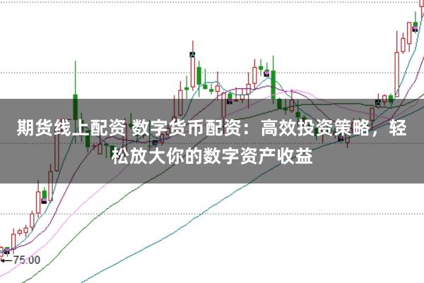 期货线上配资 数字货币配资：高效投资策略，轻松放大你的数字资产收益
