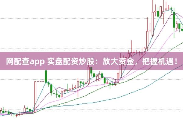 网配查app 实盘配资炒股:放大资金,把握机遇!