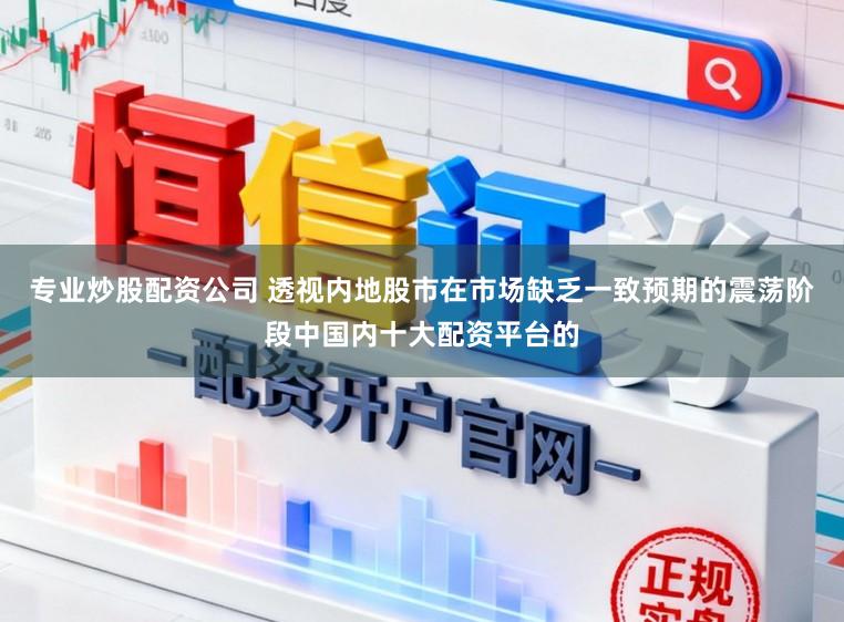专业炒股配资公司 透视内地股市在市场缺乏一致预期的震荡阶段中国内十大配资平台的